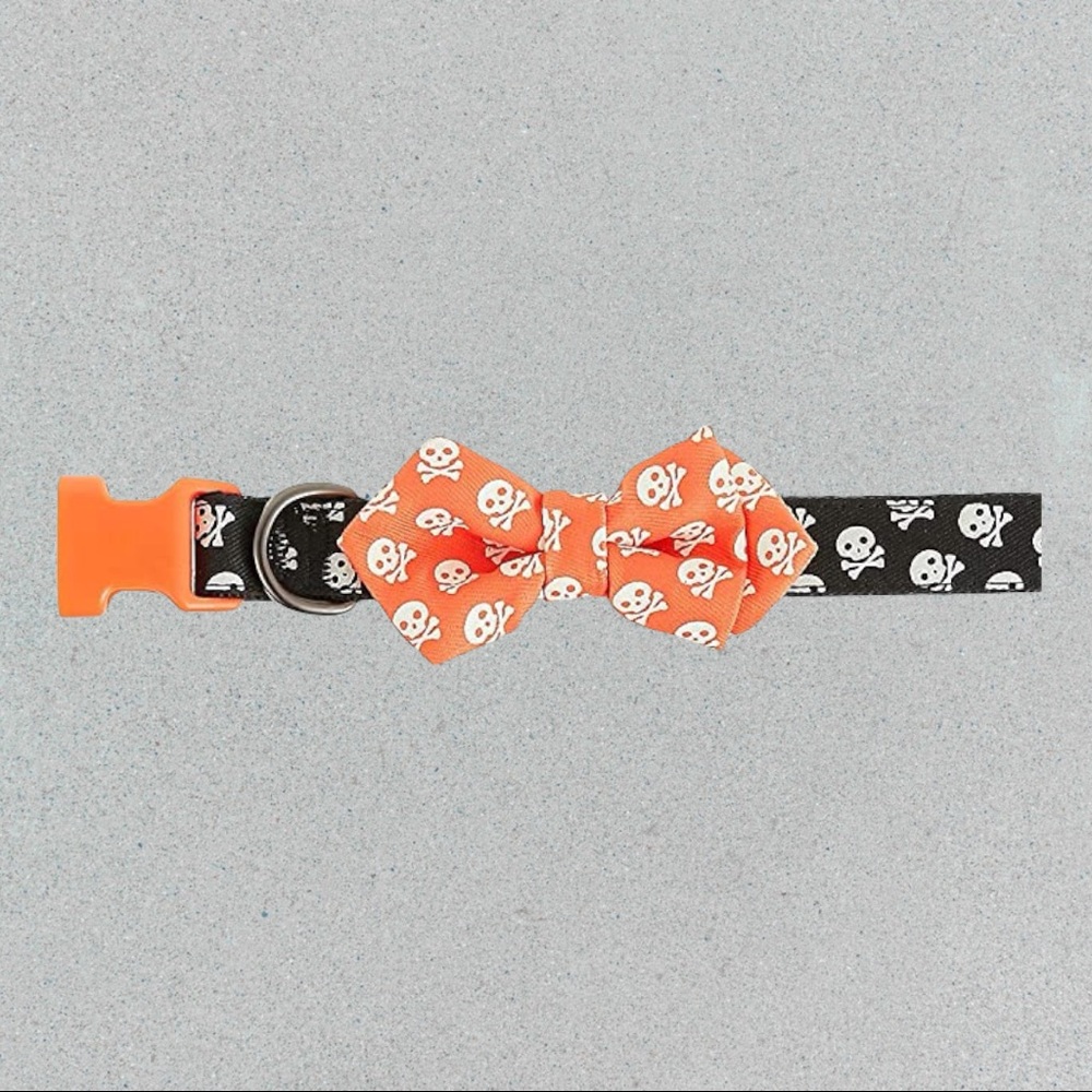 Halloween Glow in The Dark Orange & Black Skull Dog Collar - XS